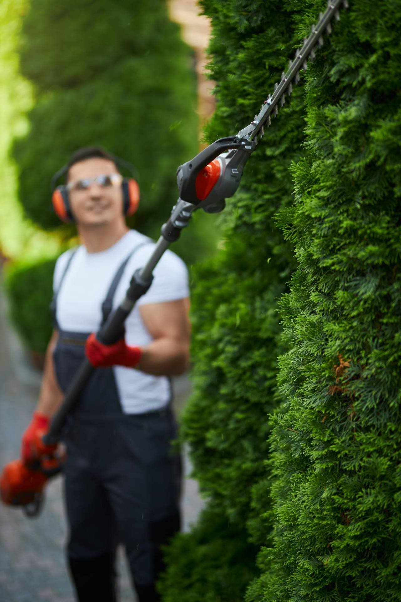 servicios de jardinería y piscinas