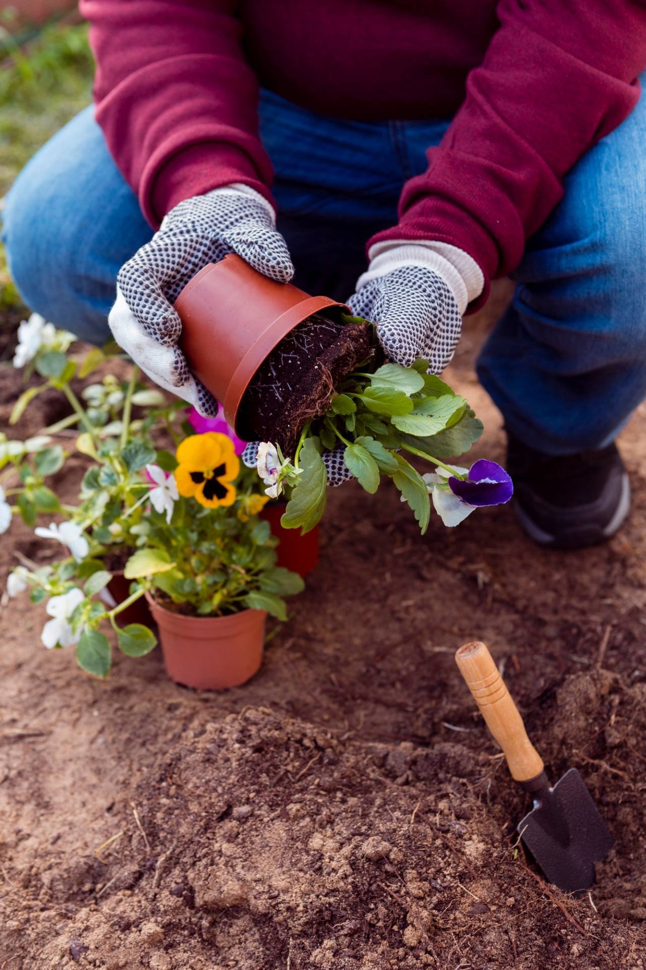 jardinería y piscinas abde
